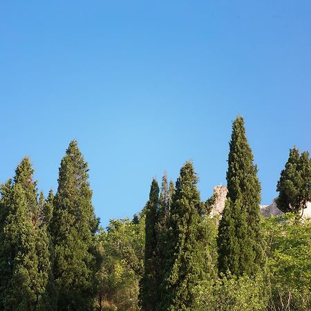 Vasiliki Apartment Virpazar Bagian luar foto